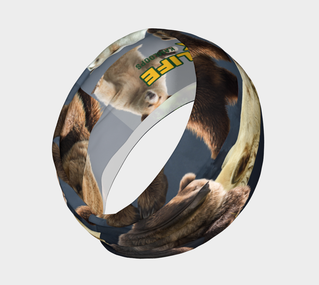 Bears - BC Wildlife Park - Streetside Apparel