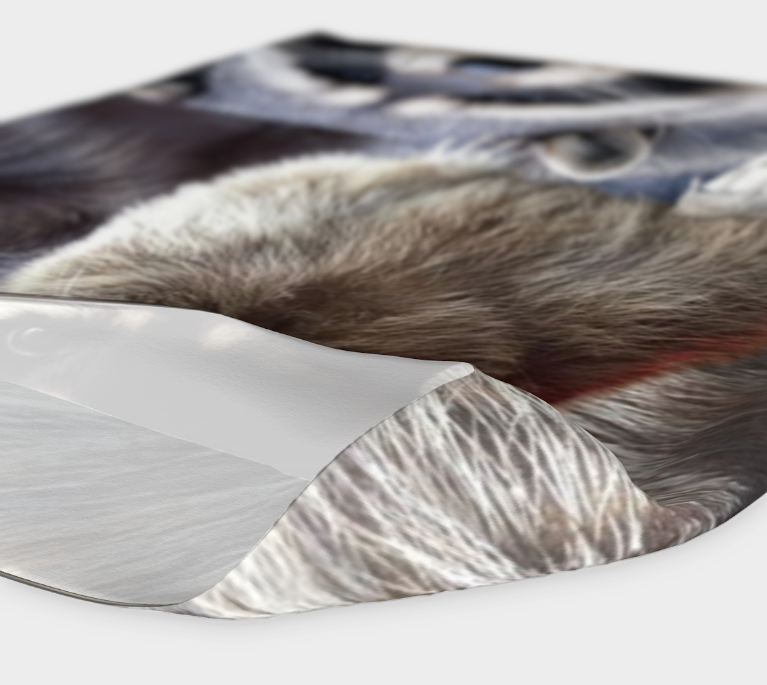 Small Mammals- BC Wildlife Park - Streetside Apparel