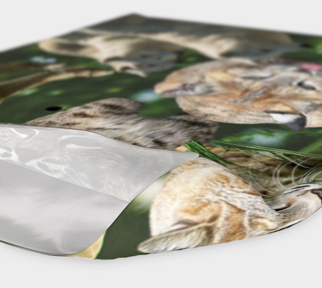 Carnivores - BC Wildlife Park - Streetside Apparel