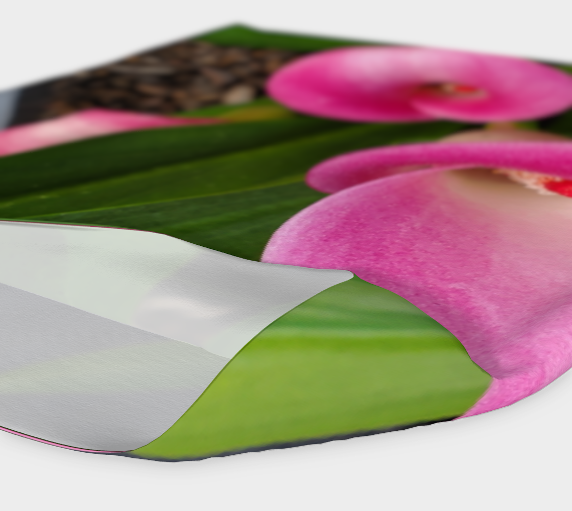 Blush Lily - Streetside Apparel