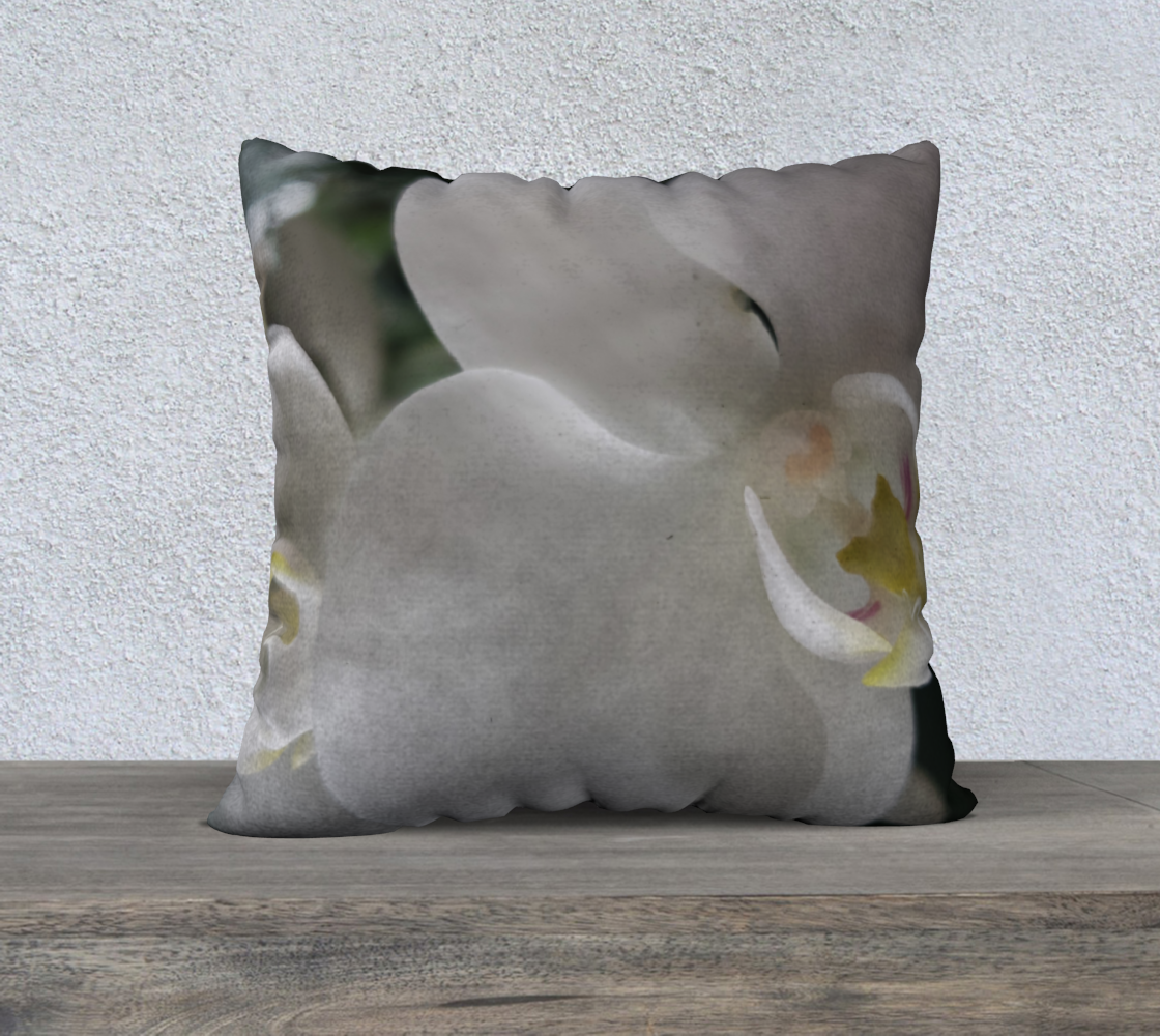 Phalaenopsis - Inspiring Designs